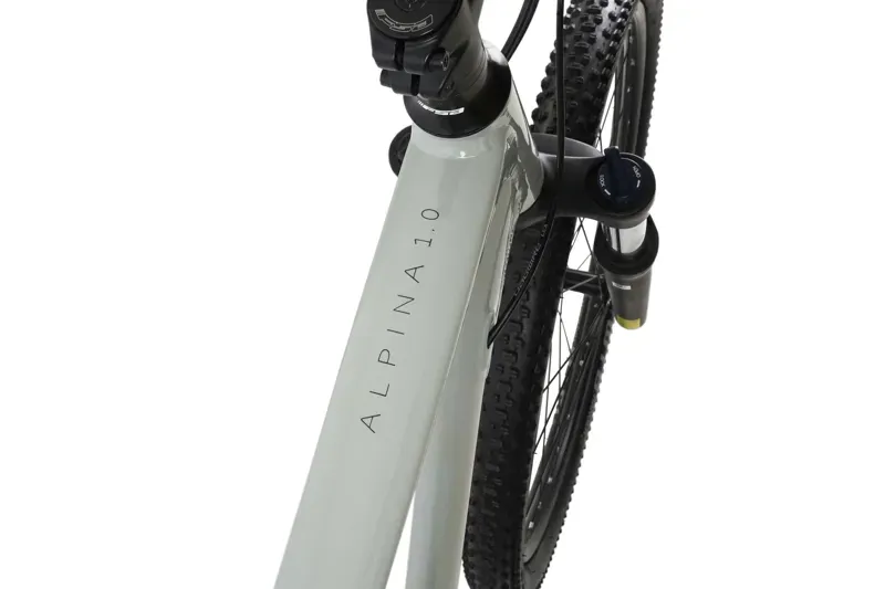 Claud Butler Alpina 1.0 29 inch Mountain Bike in Grey-5