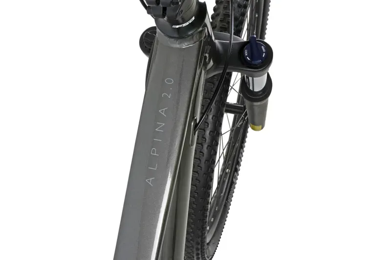 Claud Butler Alpina 2.0 29 inch Mountain Bike in Grey-4