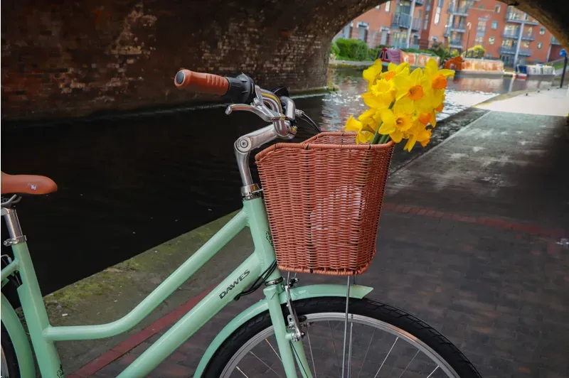 Dawes Elegance Electric Bike in Mint Green-5