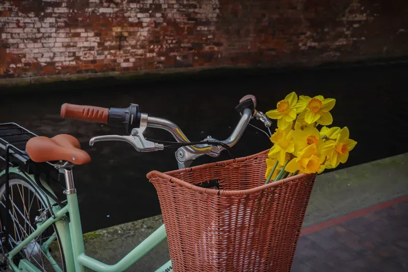 Dawes Elegance Electric Bike in Mint Green-2