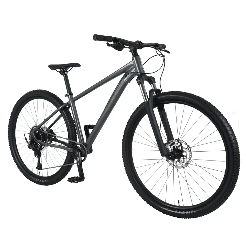 Claud Butler Alpina 2.0 29 inch Mountain Bike in Grey-1