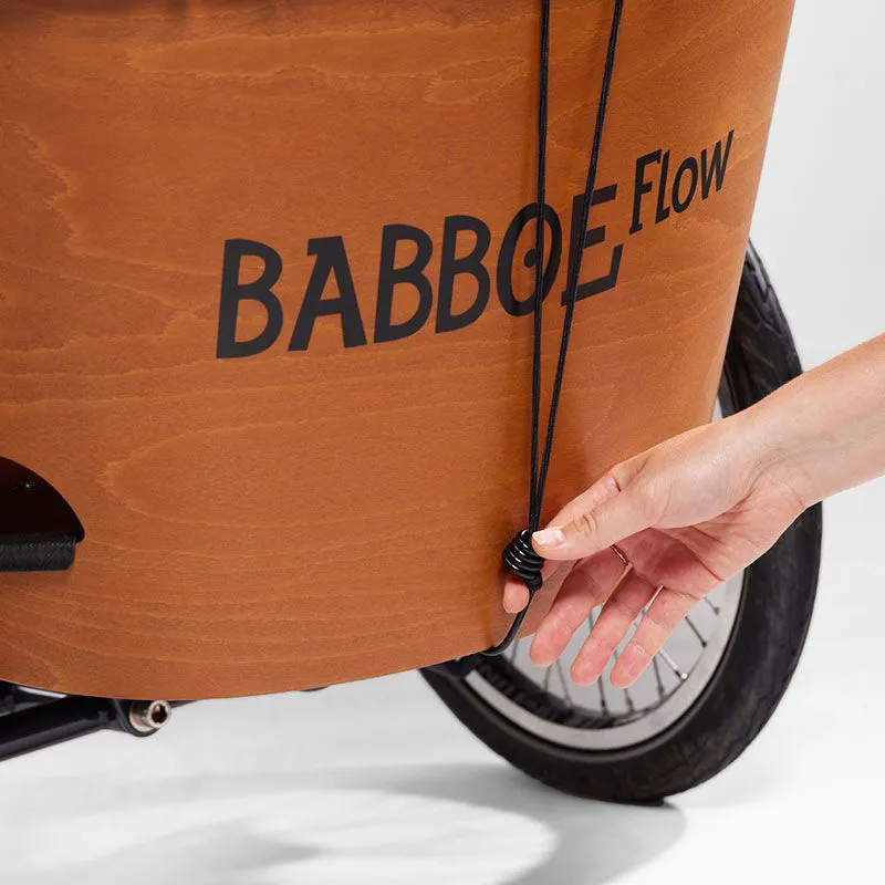 Babboe Raintent for Carve/ Flow-2
