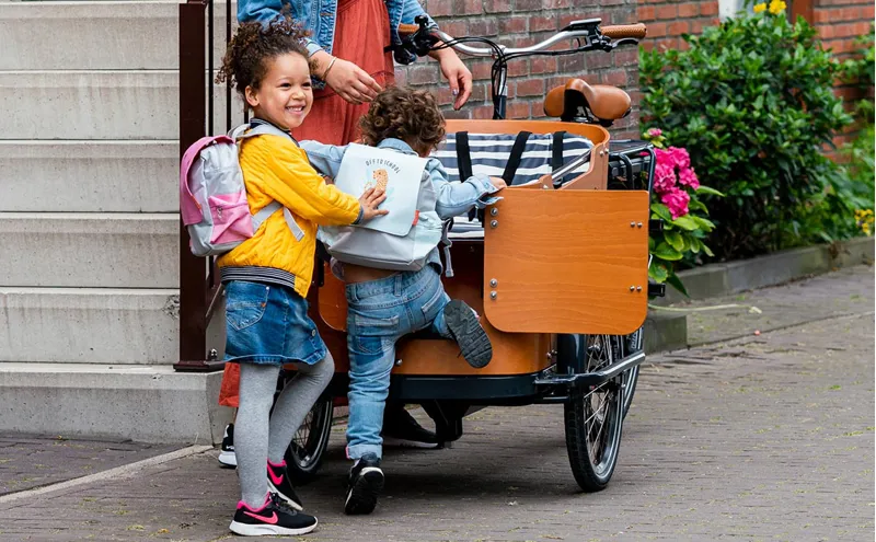 Babboe Go Mountain Electric Cargo Bike With 500Wh Battery-5