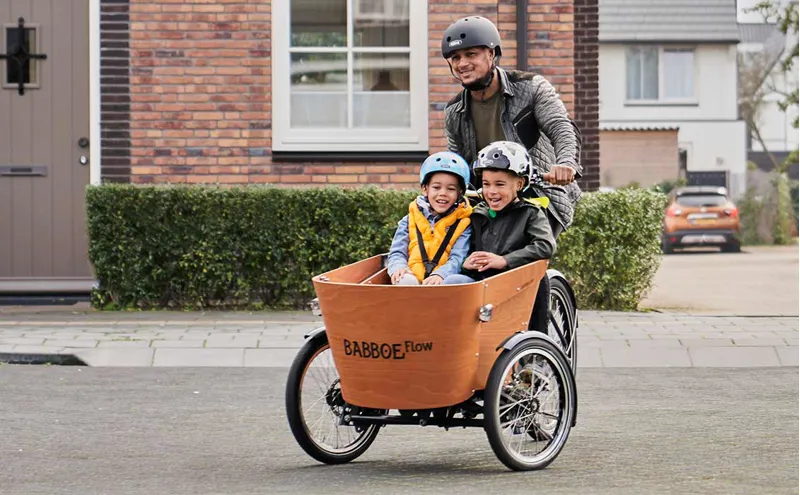 Babboe Flow Mountain Electric Cargo Trike With 500Wh Battery-7