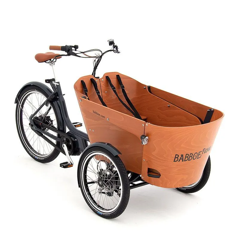 Babboe Flow Mountain Electric Cargo Trike With 500Wh Battery-1
