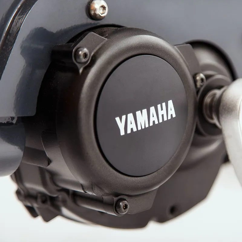 Babboe Curve Mountain Electric Cargo Bike with 500Wh Battery-2