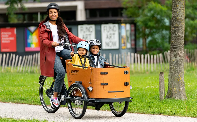 Babboe Go Mountain Electric Cargo Bike With 500Wh Battery-6