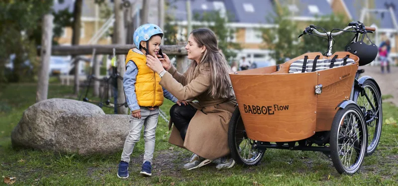 Babboe Flow Mountain Electric Cargo Trike With 500Wh Battery-6