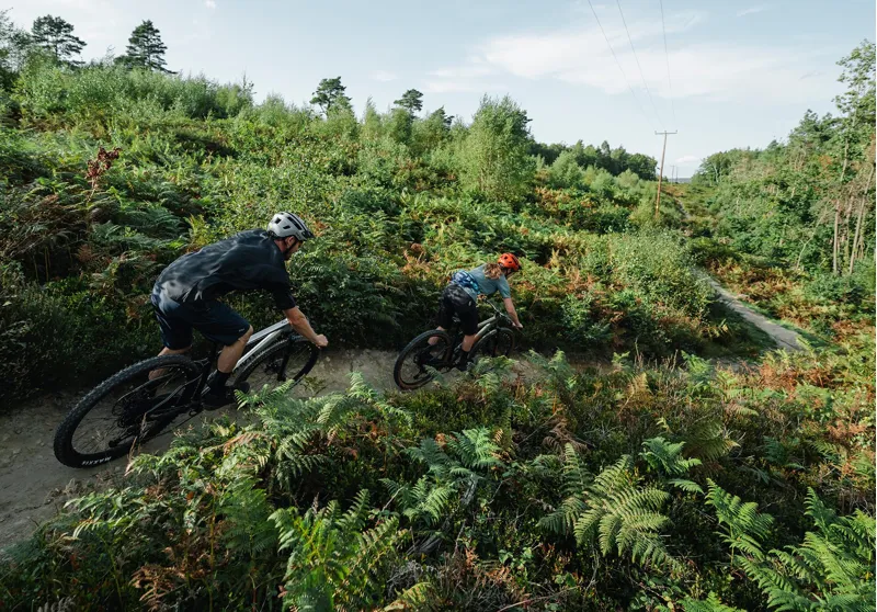 NEW - Whyte Bikes 529 V6 Trail Mountain Bike in Matt Olive/Matt Black-8