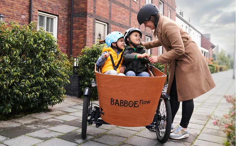 Babboe Flow Mountain Electric Cargo Trike With 500Wh Battery-8