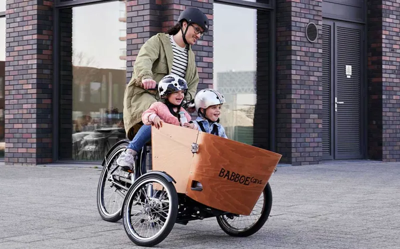 Babboe Carve Mountain Electric Cargo Bike With 500Wh Battery-7