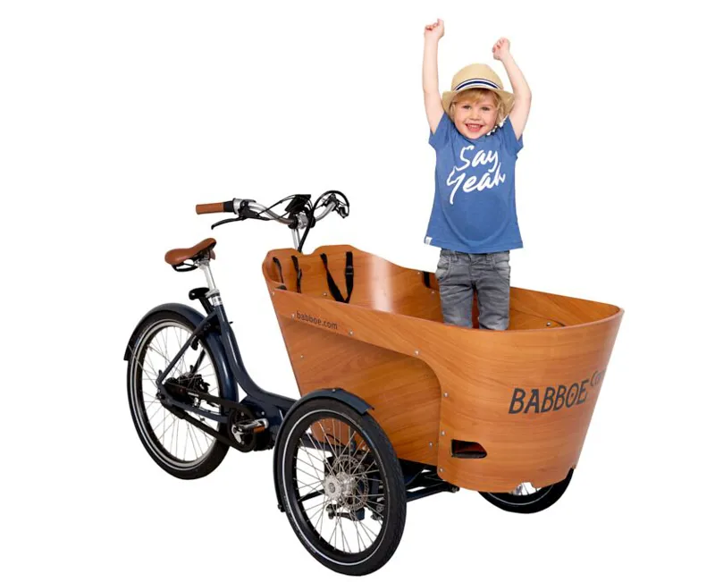 Babboe Carve Mountain Electric Cargo Bike With 500Wh Battery-5