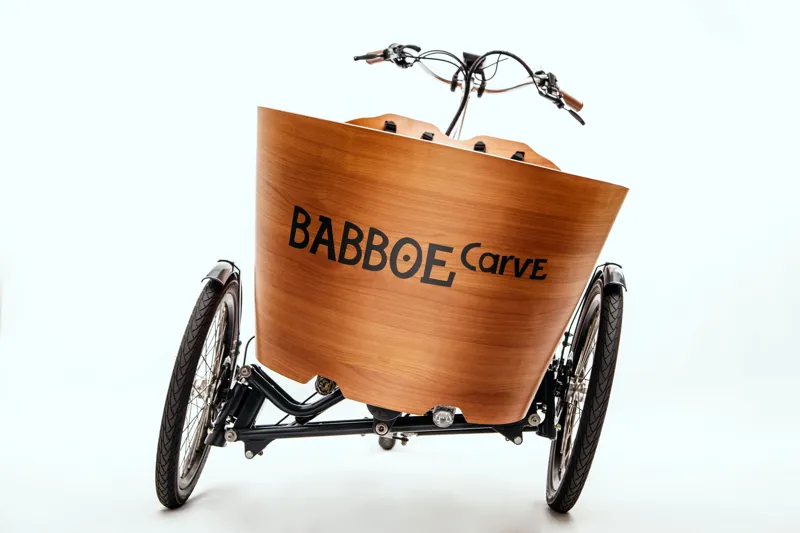 Babboe Carve Mountain Electric Cargo Bike With 500Wh Battery-11