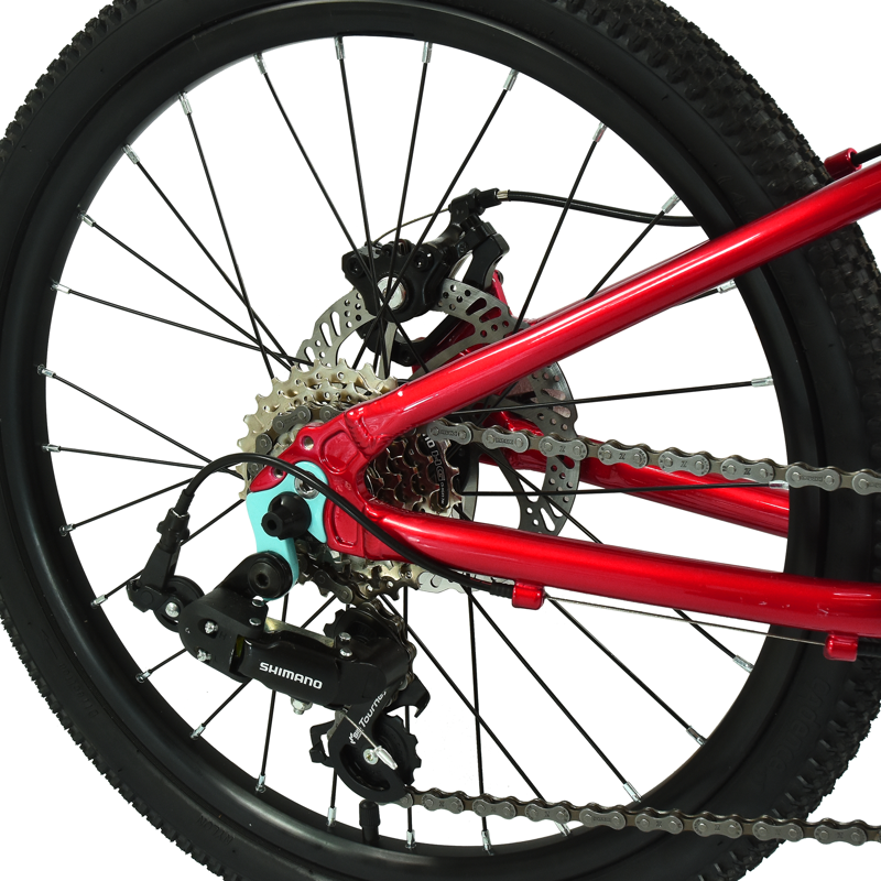 Hoy Pentland 20 inch Kids Bike in Sprint Red-3