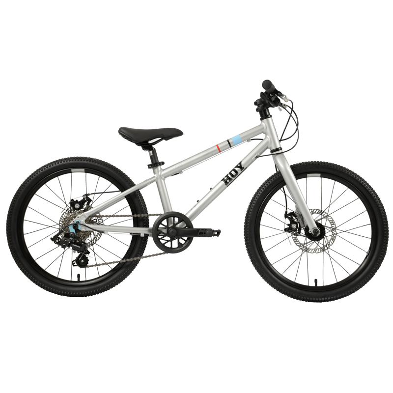 Hoy Pentland 20 inch Kids Bike in Titanium Silver