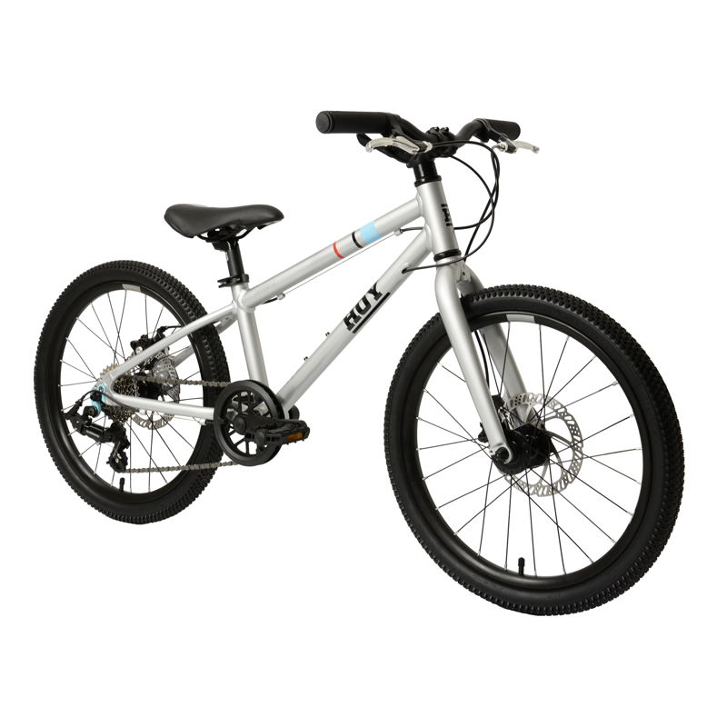 Hoy Pentland 20 inch Kids Bike in Titanium Silver-1