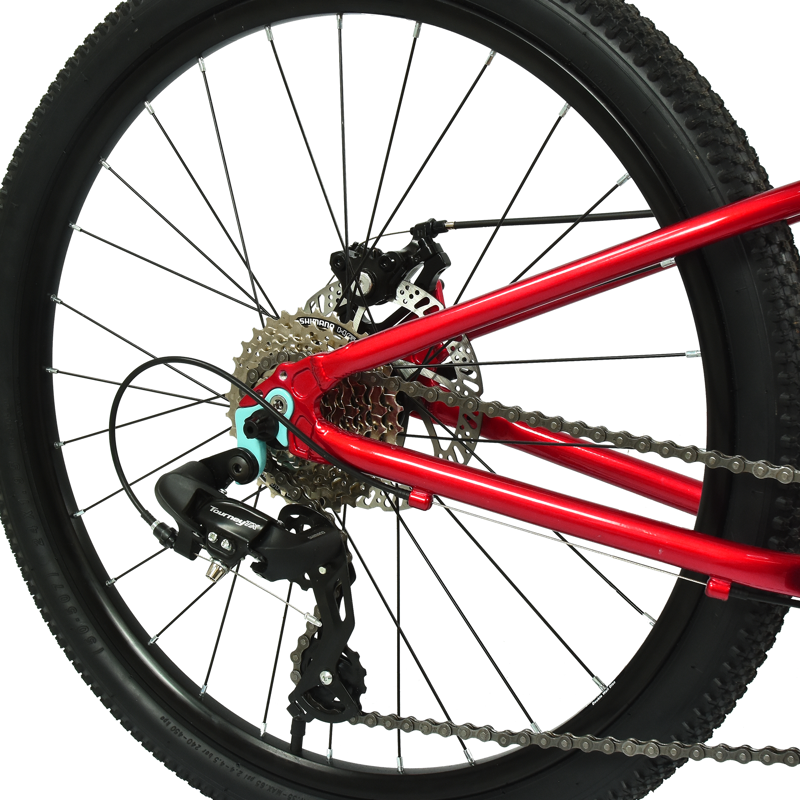 Hoy Pentland 24 inch Kids Bike in Sprint Red-3
