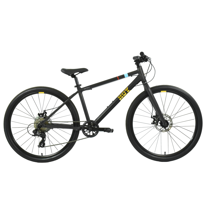 Hoy Pentland 26 inch Kids Bike in Stealth Black