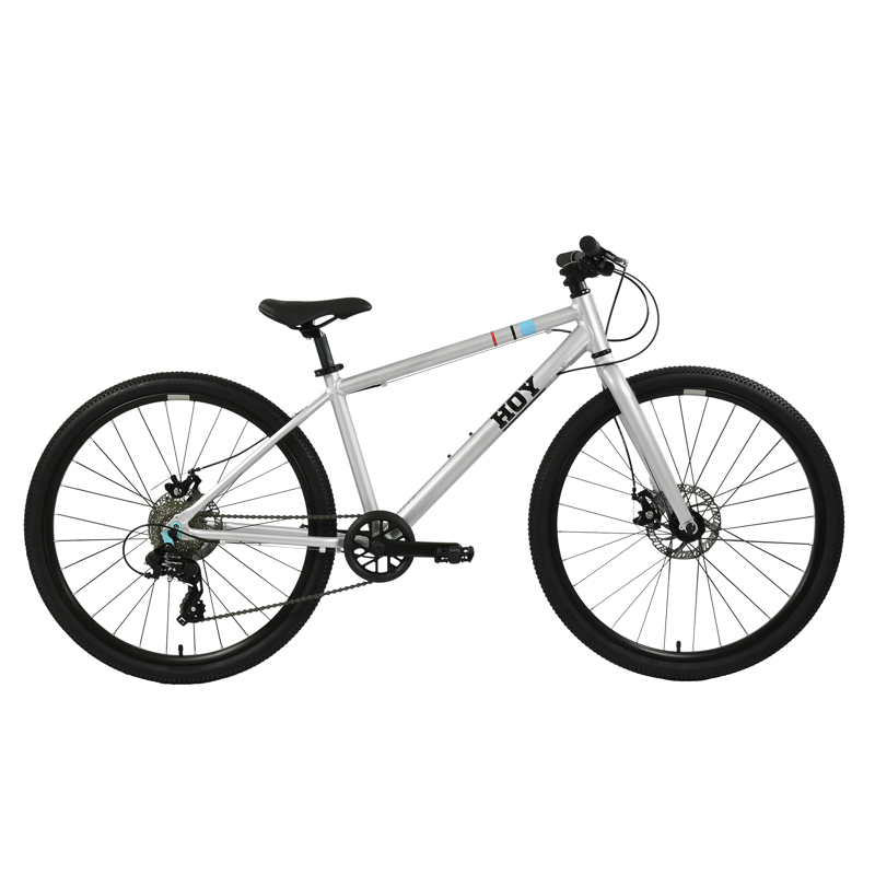Hoy Pentland 26 inch Kids Bike in Titanium Silver