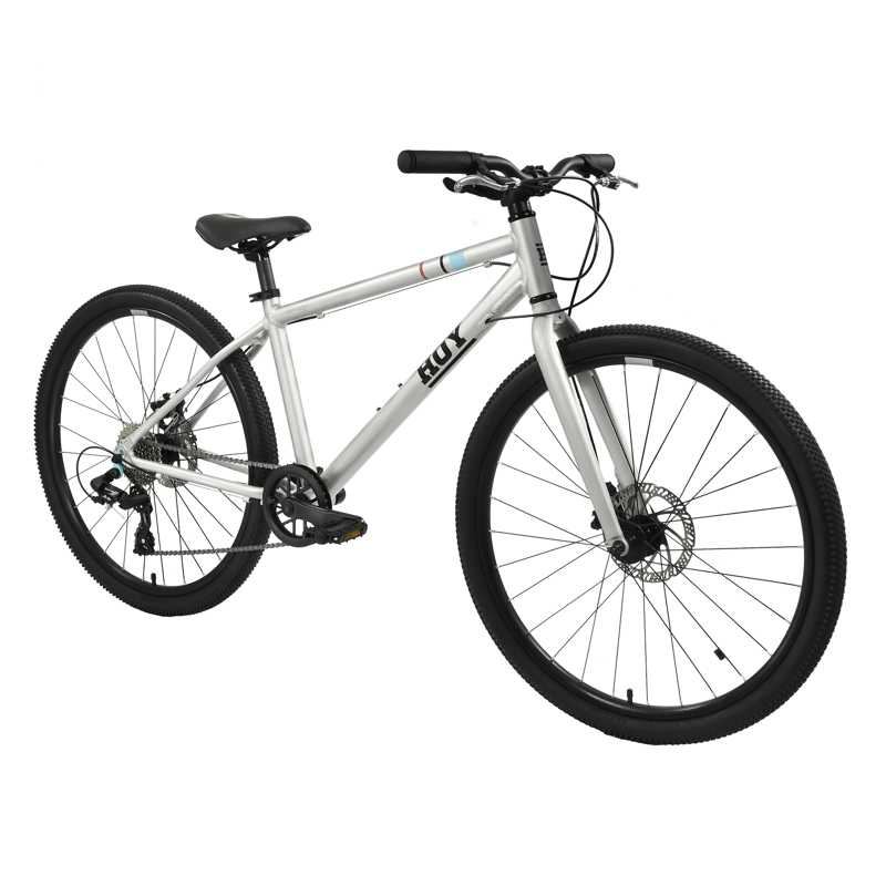Hoy Pentland 26 inch Kids Bike in Titanium Silver-1