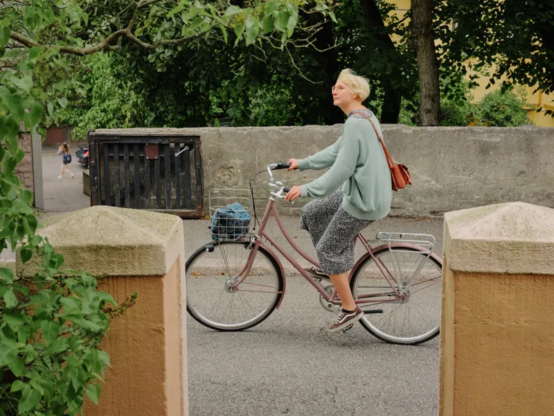 Pelago Bordeaux 3 Speed Hub Urban City Bike in Rosa-13