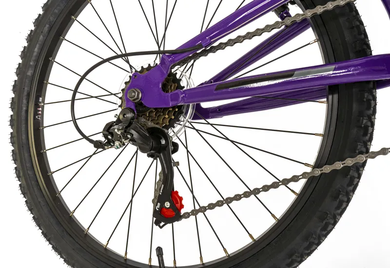 Falcon Siren 24 inch Kids Bike in Purple-2