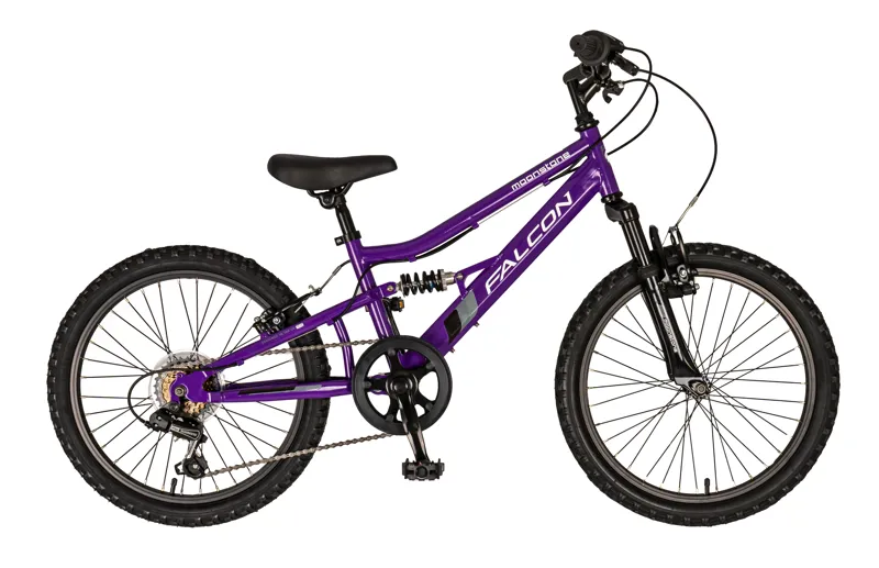 Falcon Moonstone 20 inch Kids Bike in Purple