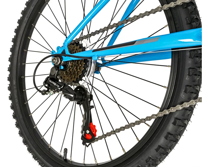 Falcon Venus 24 in Sky Blue-2