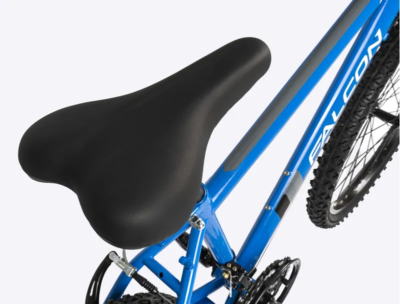 Falcon Raptor 24 inch Bike in Blue-5