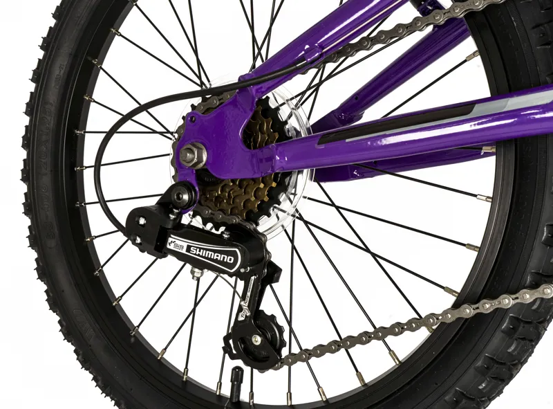Falcon Moonstone 20 inch Kids Bike in Purple-2