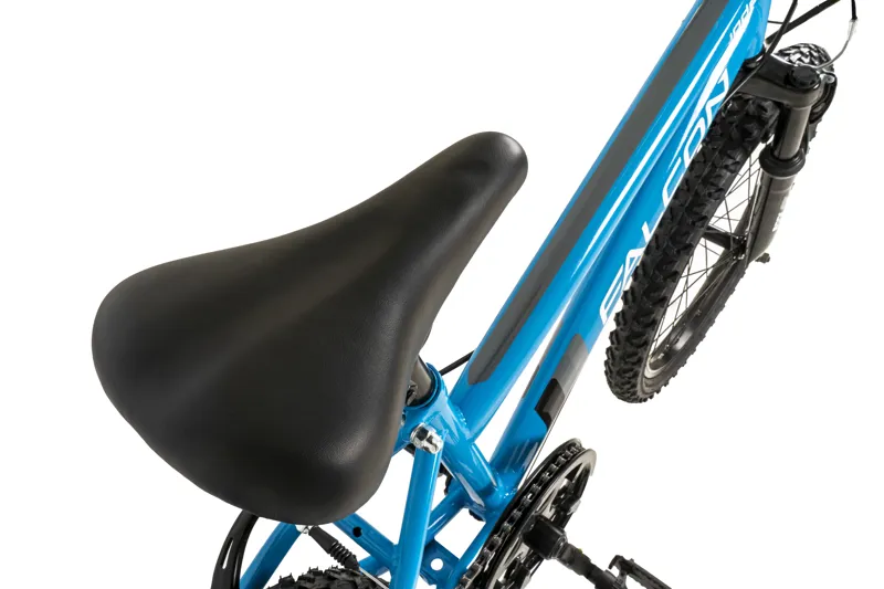 Falcon Jade 20 inch Kids Bike in Sky Blue-5