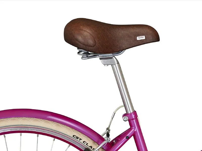 NEW - Raleigh Sherwood 700c City Bike in Barbie Pink-6