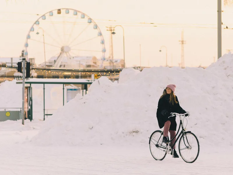 Pelago Bordeaux 7 Speed Hub Urban City Bike in Helene Grey-10