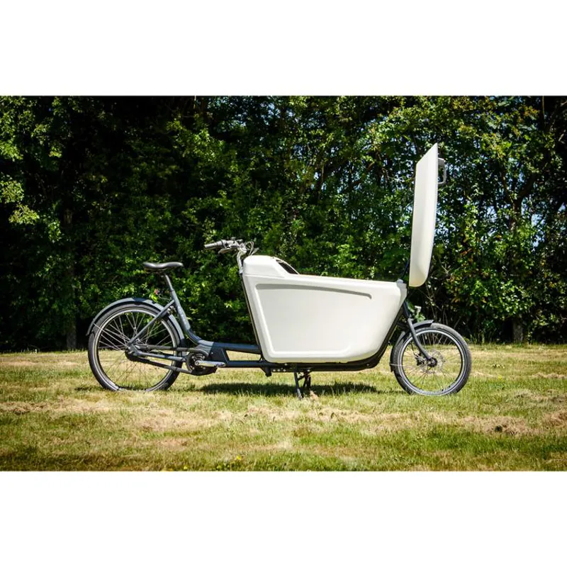Raleigh Pro Cargo Bike Mid Motor 50inch in White-2