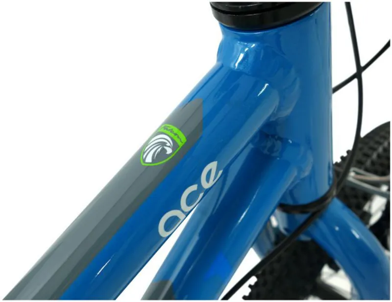 Falcon Ace 20 inch Kids Bike in Blue-7