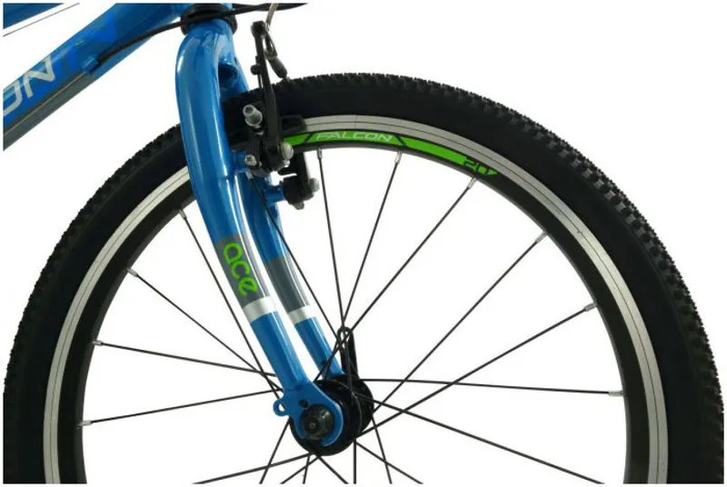 Falcon Ace 20 inch Kids Bike in Blue-2