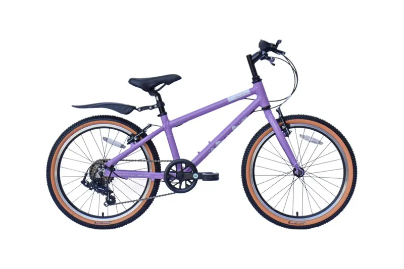 Raleigh Pop 20 Kids Bike in Purple-2