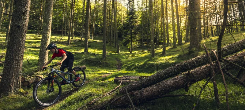 2024 Orbea Laufey 20 H10 Junior Mountain Bike In 2 Colours-9