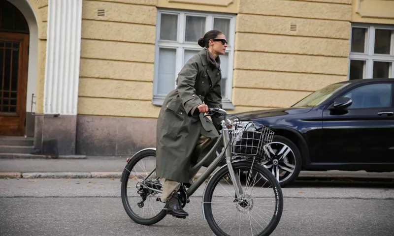 Pelago Wellamo Lightweight Classic Electric Bike in Grey-3