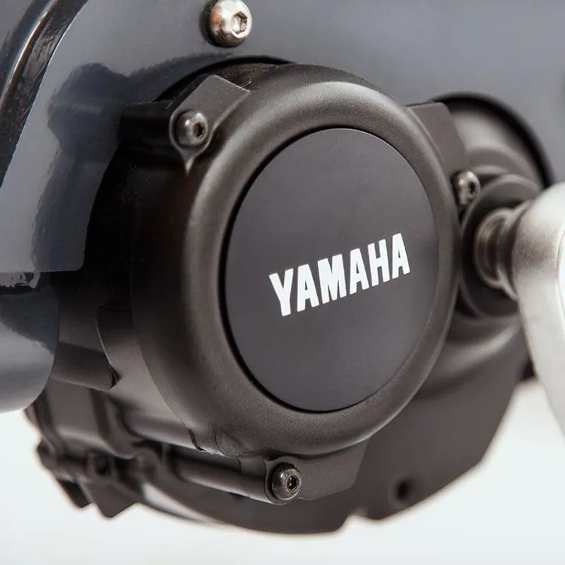 Raleigh Pro Cargo Bike Mid Motor 50inch in White-3