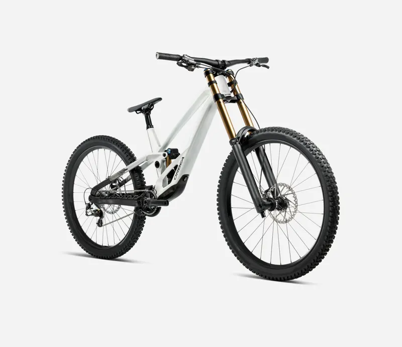 NEW - Orbea Rallon D- Ltd Mountain Bike in White Chic - Diamond Black-2