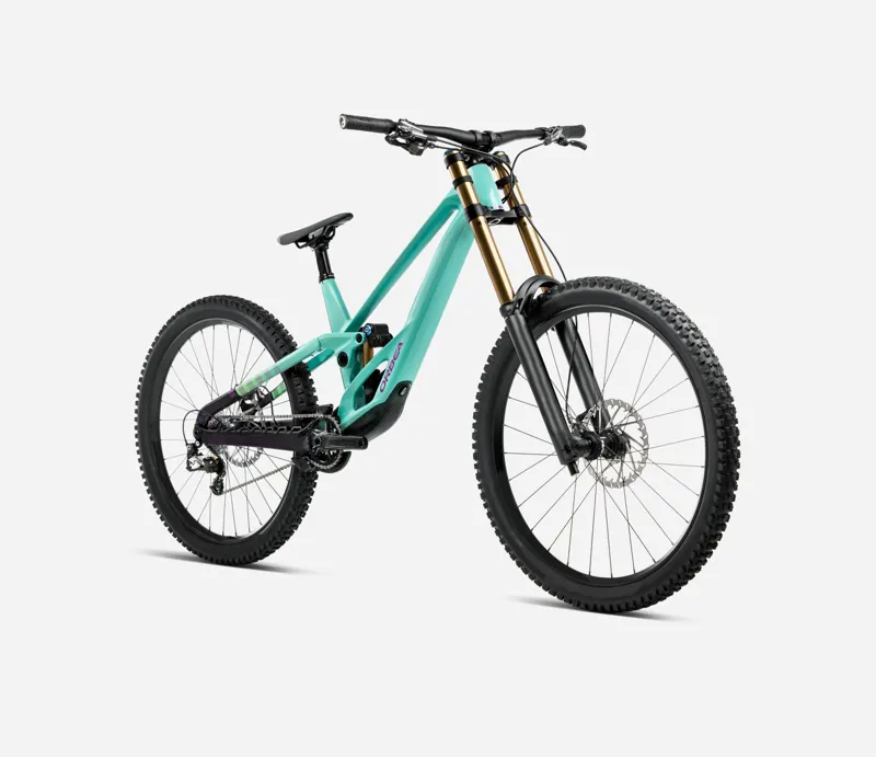 NEW - Orbea Rallon D- Ltd Mountain Bike in Aloha Green - Fantasy Purple Carbon View-2