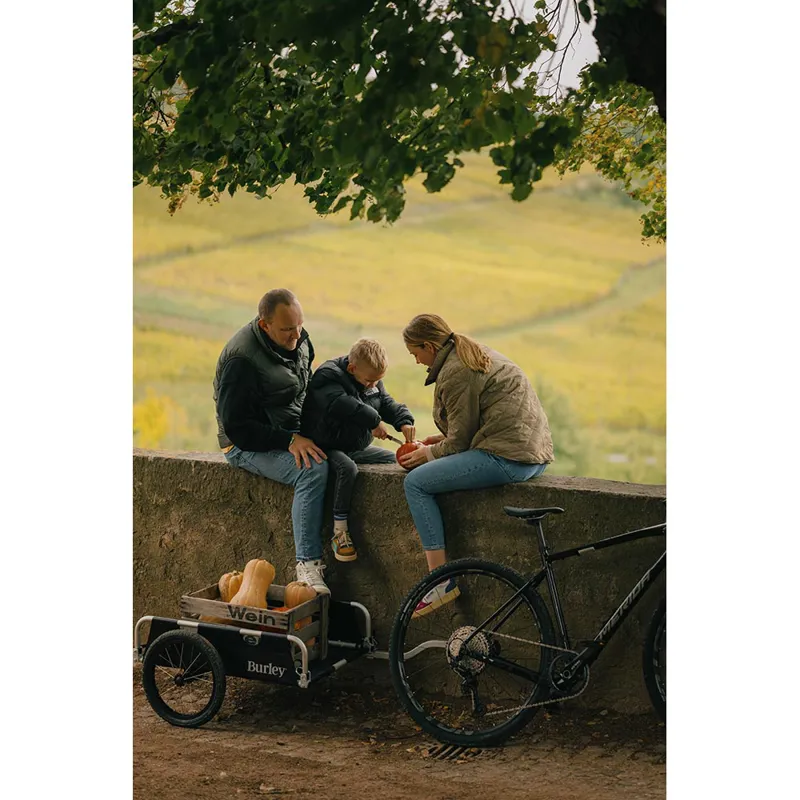 Burley Flatbed Cargo Bike Trailer in Black-7