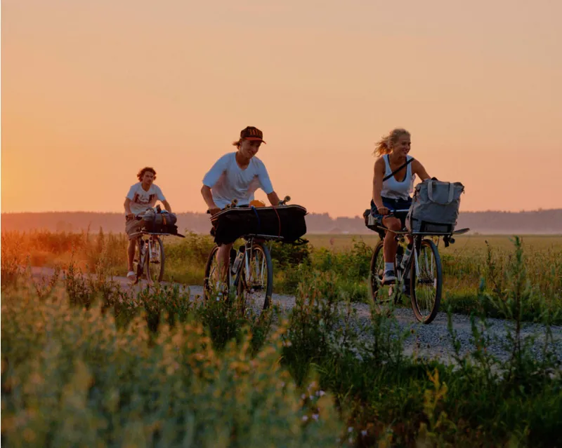 Pelago Silvo Go-Anywhere Commuter Bike in Eliel Green-3