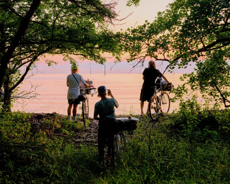 Pelago Silvo Go-Anywhere Commuter Bike in Eliel Green-6