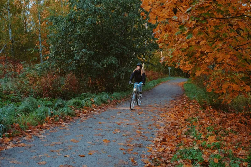 Pelago Airisto Commuter Dynamo Bike in Pearl Rosa-13
