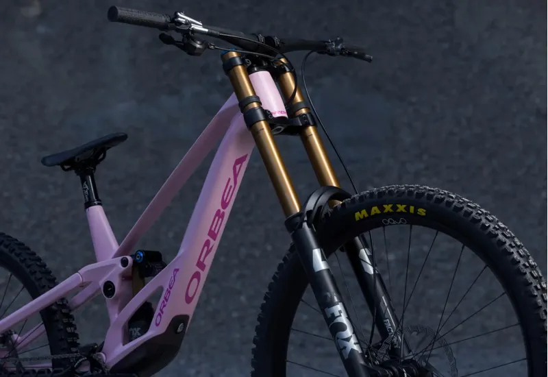 NEW - Orbea Rallon D- Ltd Mountain Bike in Nickel Matt - Nickel Chrome-4