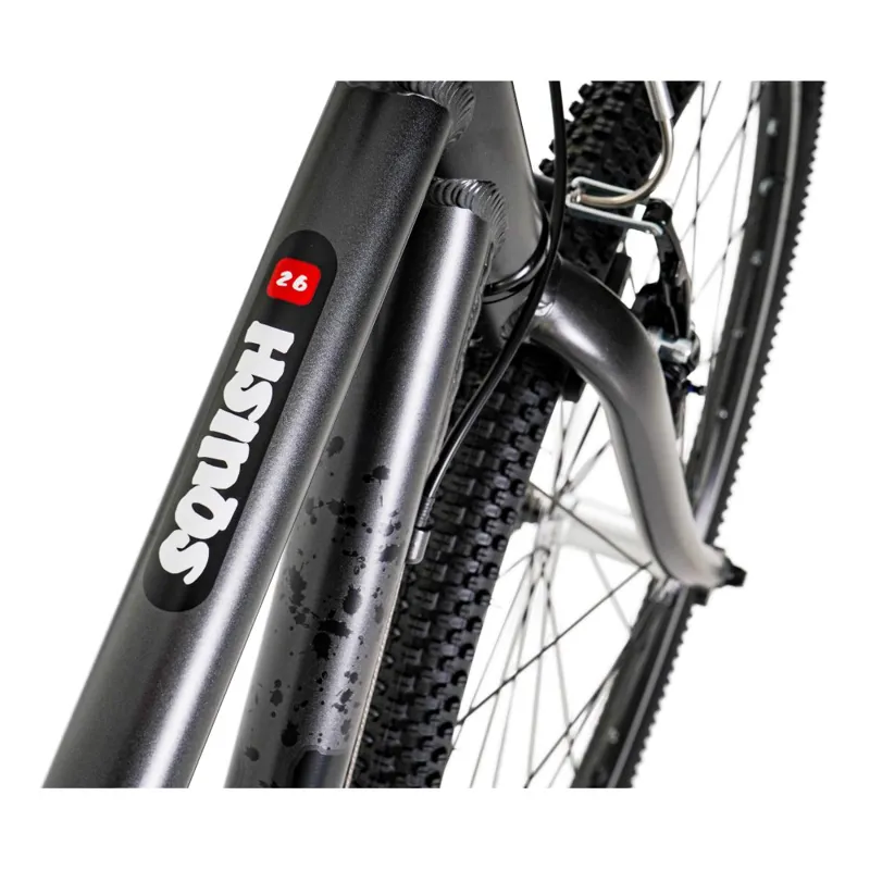 Squish 26 inch Kids Bike in Grey-3