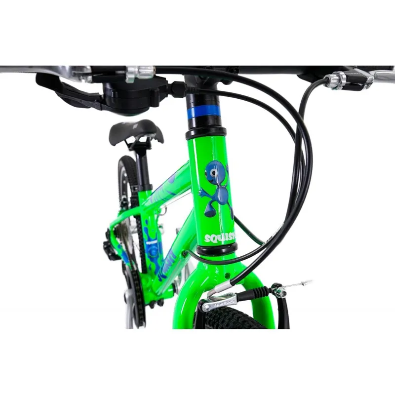 Squish 20 Inch Lightweight Kids Bike in Green-5