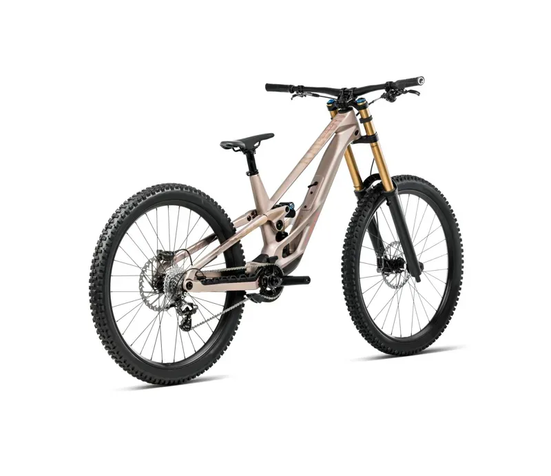 NEW - Orbea Rallon D- Ltd Mountain Bike in Nickel Matt - Nickel Chrome-2